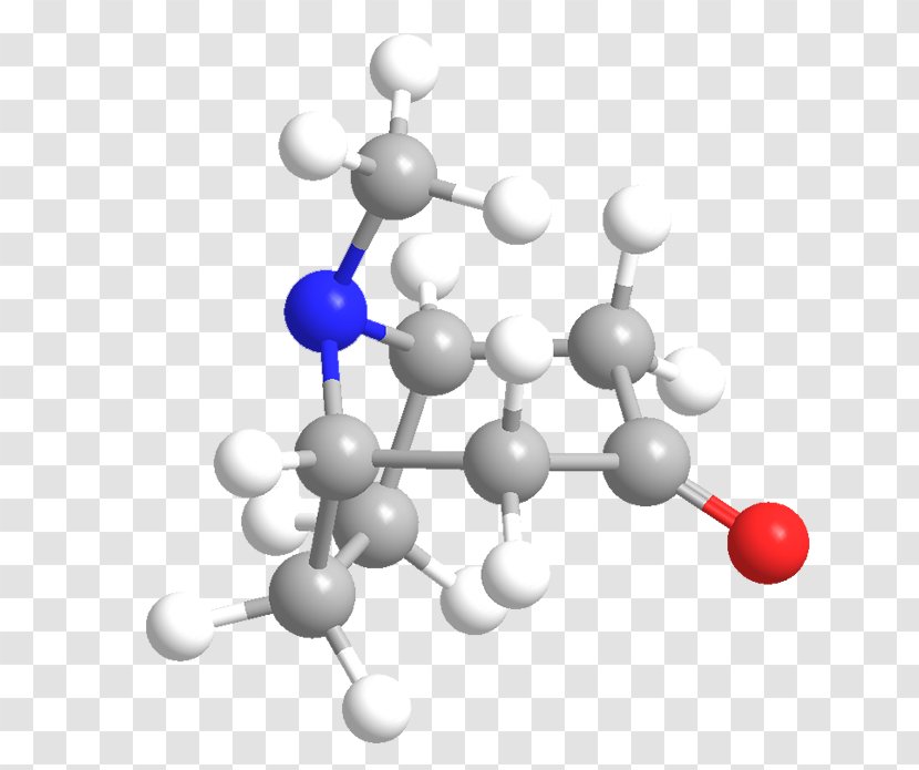 Chemistry Mandrake Belladonna American Chemical Society - Atropine Transparent PNG
