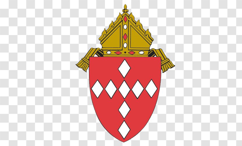 Roman Catholic Diocese Of Raleigh John Paul II High School Holy Name Jesus Cathedral Catholicism - Church Transparent PNG