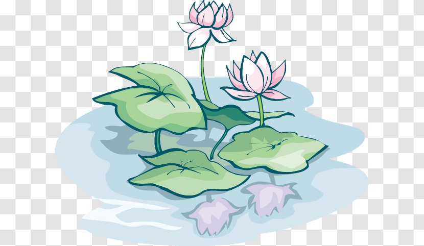 Sacred Lotus Vector Graphics Image Illustration Graphic Design - Flowering Plant - Poster Transparent PNG