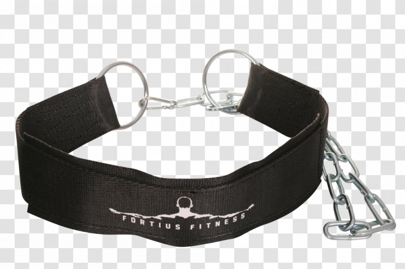 Belt Dog Collar Product - Strap - Powerlifting Garage Gym Transparent PNG