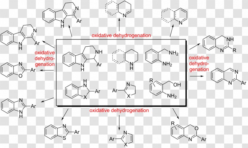 Dehydrogenation Redox Alkene Chemical Compound Ketone - Silhouette - Cartoon Transparent PNG