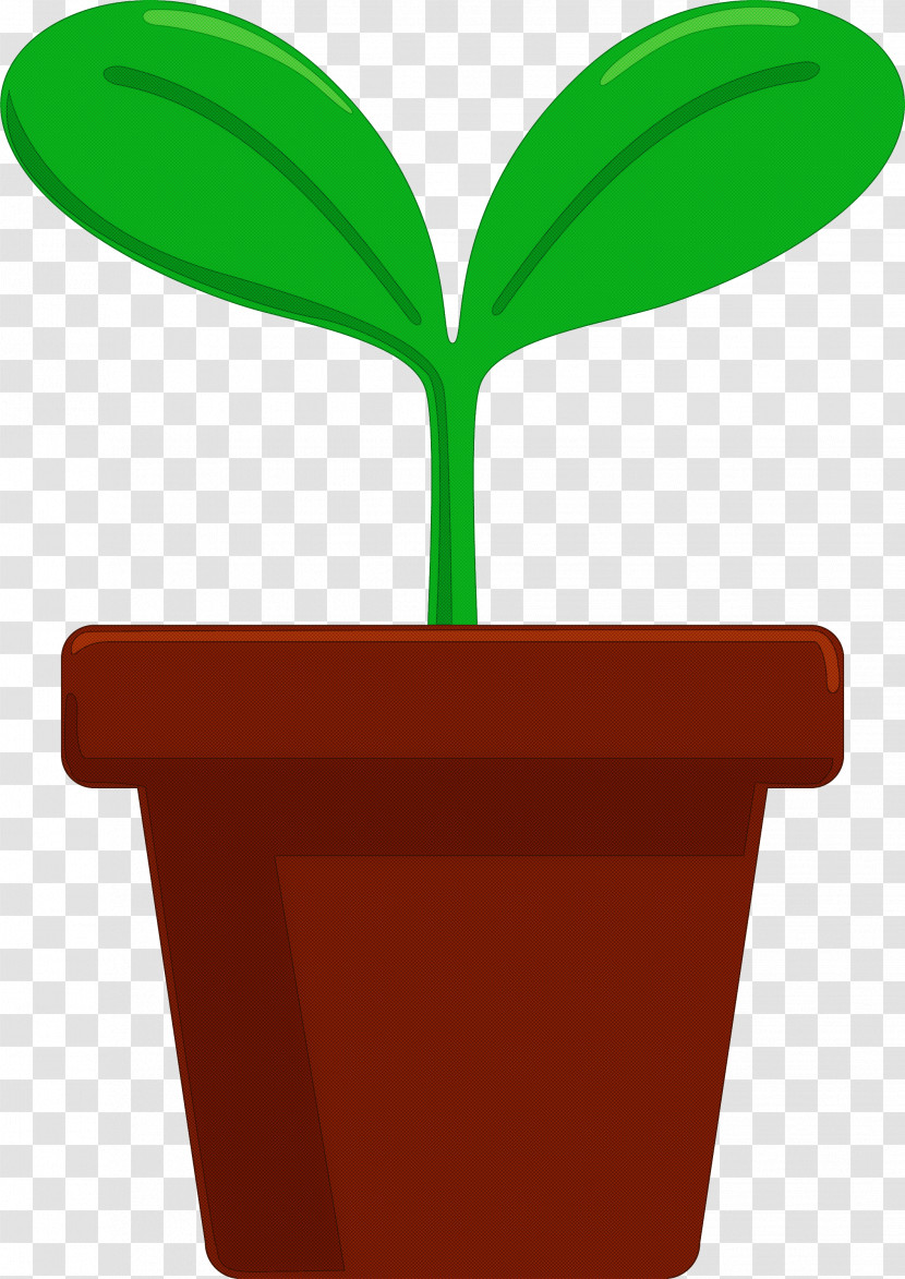 Sprout Bud Seed Transparent PNG