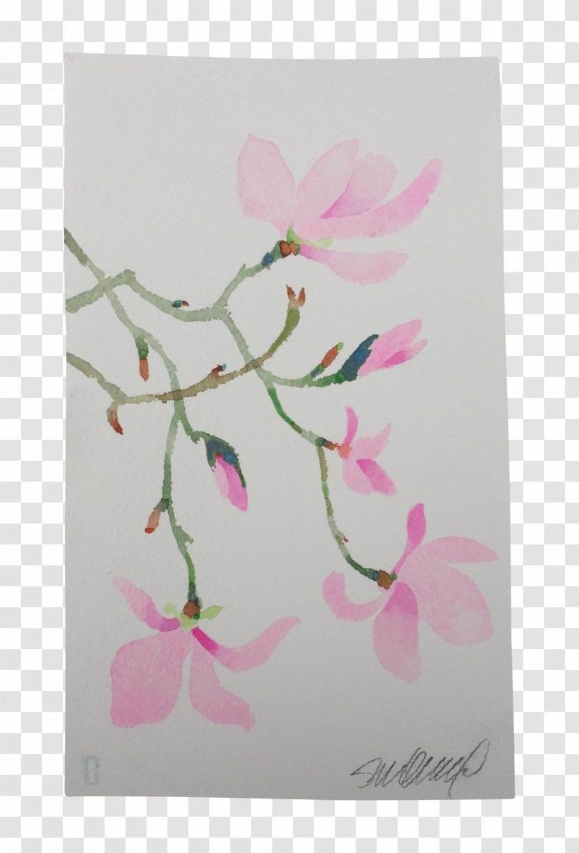 Flower Floral Design Pollinator Petal Plant Stem - Branch - Watercolor Pink Magnolia Transparent PNG