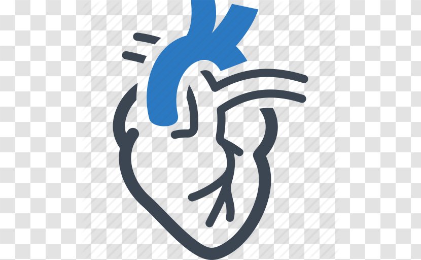 Heart Cardiology Cardiovascular Disease - Drawing Vector Transparent PNG