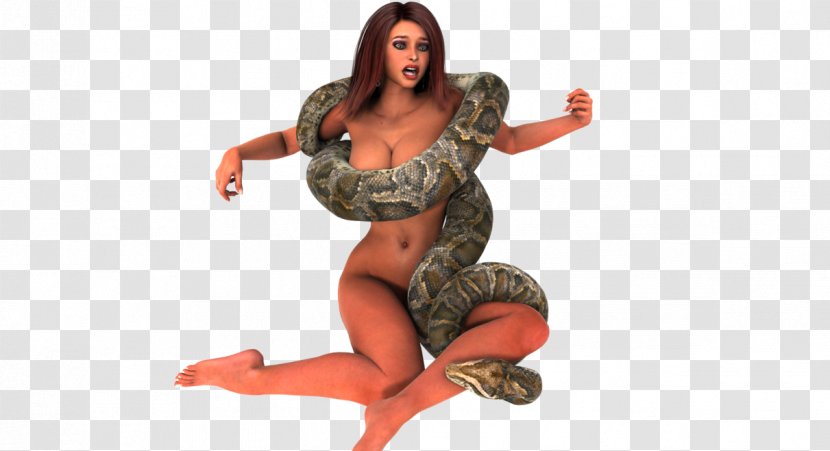 Snake Dog Reptile Animal Anaconda - Frame - Gabriella Wilde Transparent PNG