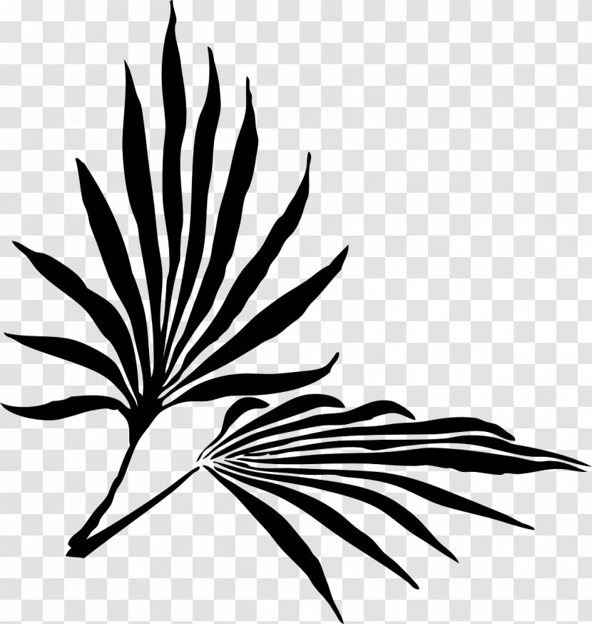 Palm Sunday Branch Easter Clip Art - Monochrome - Black And White Flowers Decorative Backgrou Transparent PNG