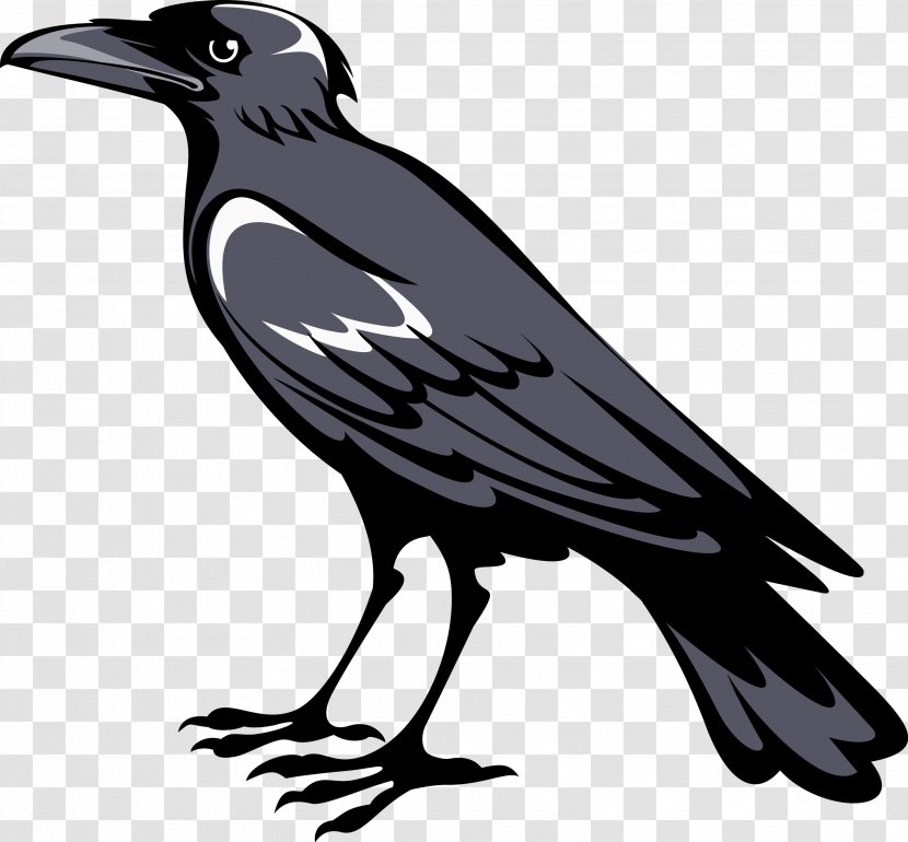 Coat Of Arms Crows Symbol Heraldry - Escutcheon - Crow Transparent PNG