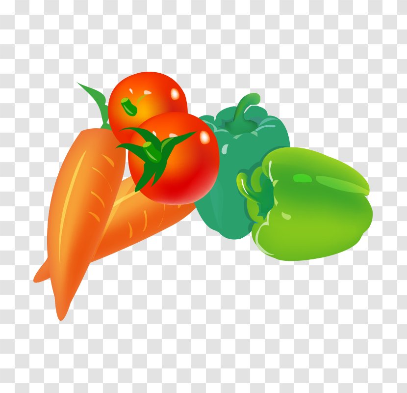 Habanero Bell Pepper Tabasco Chili Green - Plant - Vegetables Transparent PNG