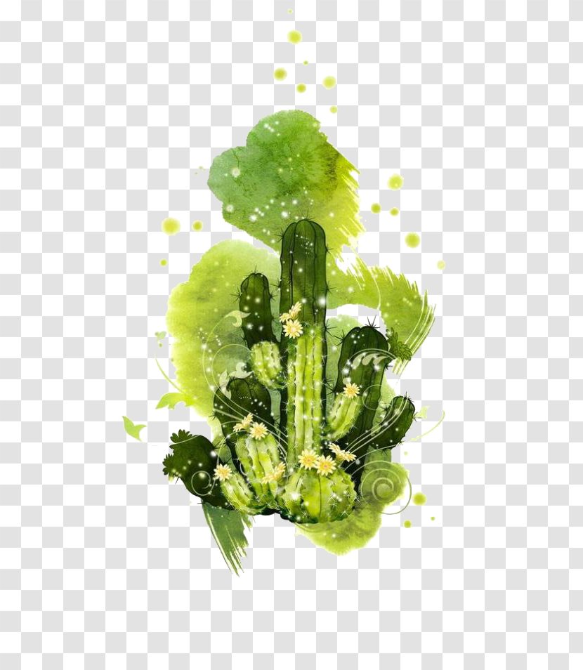 Cactaceae Photography Illustration - Animation - Cactus Ink Painting Transparent PNG