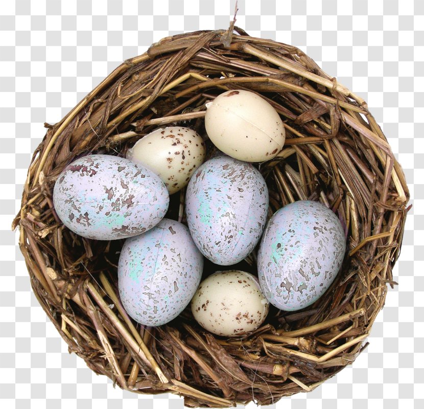 Edible Bird's Nest Egg House Sparrow - Bird Transparent PNG