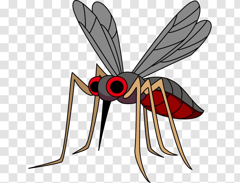 Mosquito Dengue 虫 Disease West Nile Fever - Invertebrate Transparent PNG