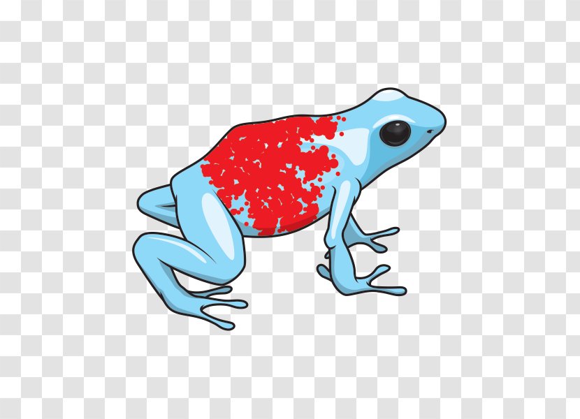 Frog Cartoon - Phyllobates - Shrub Hyla Transparent PNG