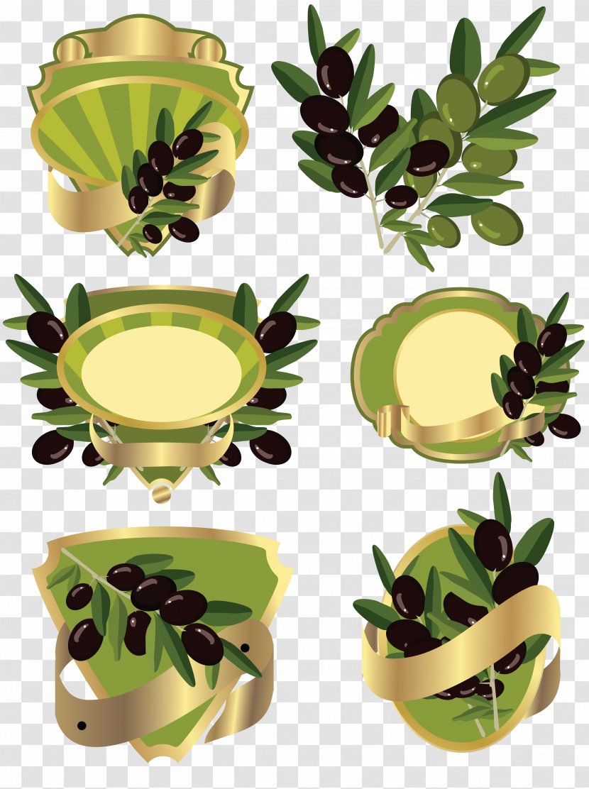 Olive Oil Branch Food Plant - Label - Leaves Transparent PNG