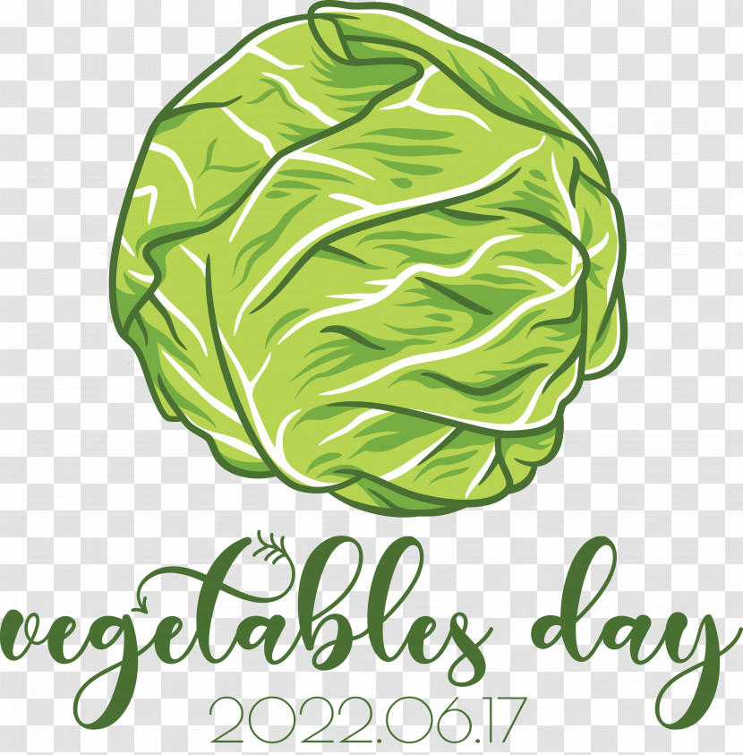 Vegetable Leaf Leaf Vegetable Cabbage Logo Transparent PNG