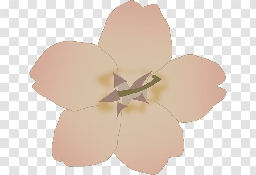 Cherry Blossom Clip Art - Plant Transparent PNG