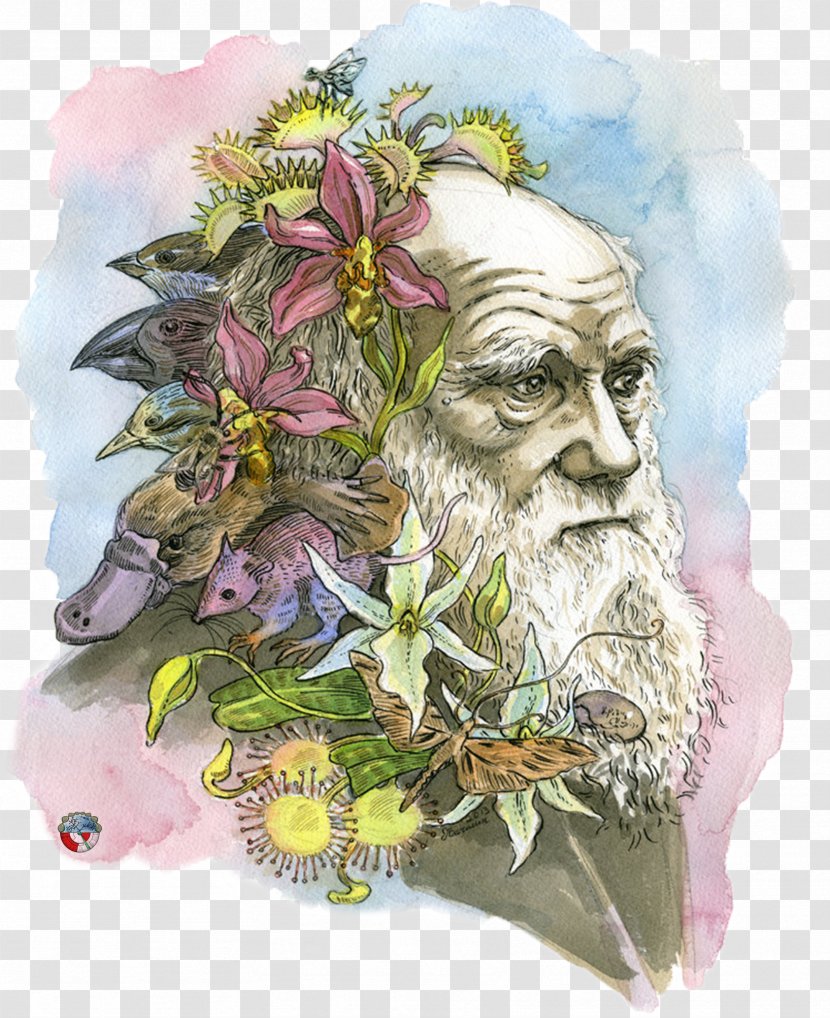 The Beak Of Finch: A Story Evolution In Our Time Voyage Beagle Theory Darwin Day - Charles - Scientist Transparent PNG