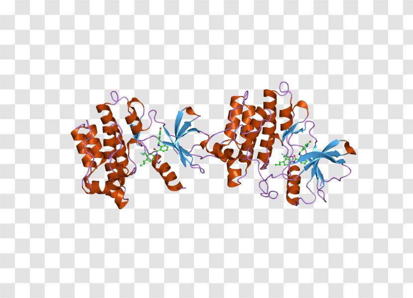 ABL2 Oncogene Protein - Text Transparent PNG