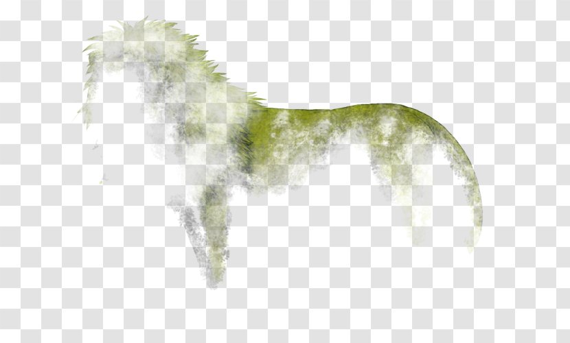 Dog Breed Snout Tail - Carnivoran Transparent PNG