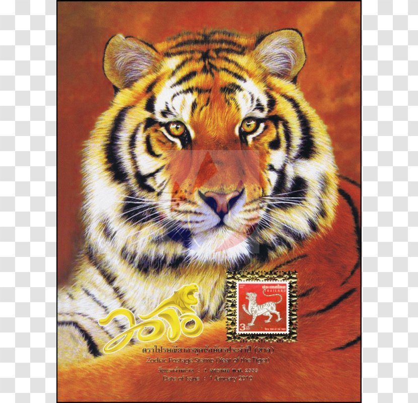 Golden Tiger Siberian Bengal Felidae - Panthera - Chinese Zodiac Transparent PNG