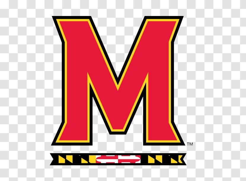 University Of Maryland, College Park Maryland Terrapins Men's Basketball Football Track And Field - Yellow Transparent PNG