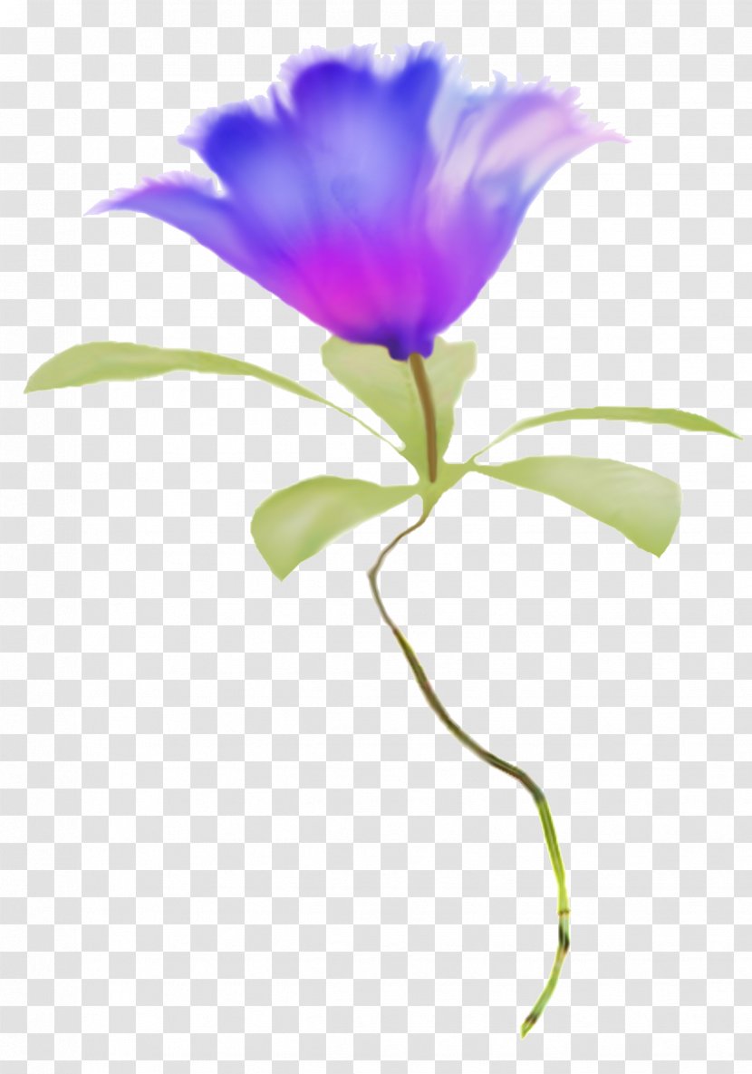 Flower Petal Plant Stem Clip Art - Herbaceous - Blue Transparent PNG