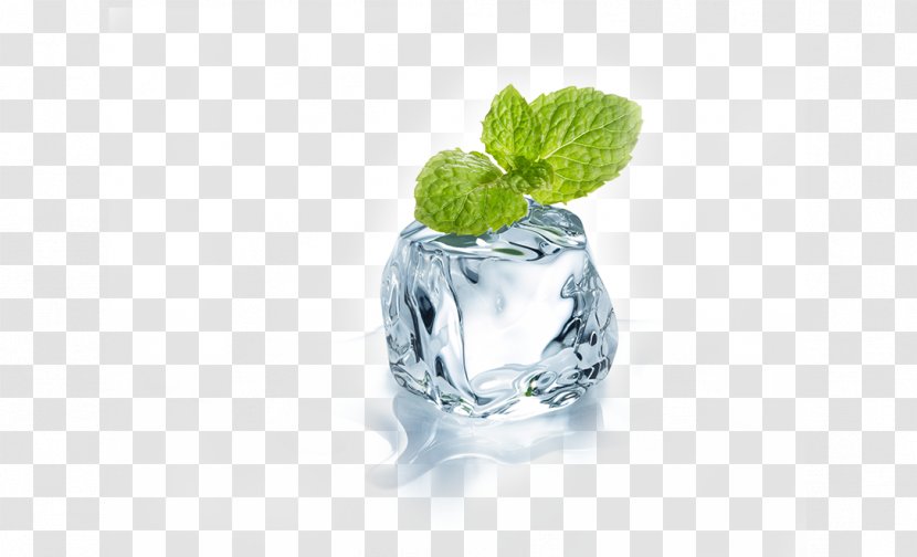 Chewing Gum Mint Flavor Menthol Electronic Cigarette Aerosol And Liquid - Ice Cubes Transparent PNG