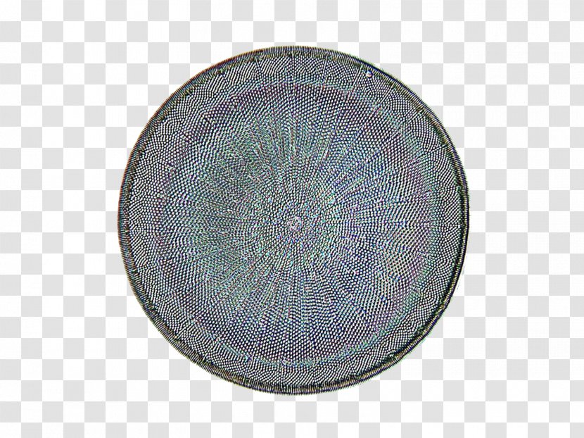 Tableware Plate Purple Violet Circle - Taiji Transparent PNG