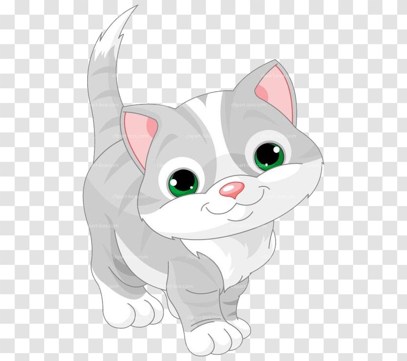 Kitten Cat Clip Art - Whiskers Transparent PNG