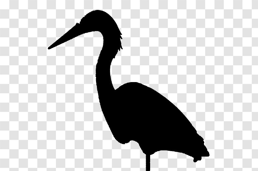 Cygnini Goose Duck Water Bird - Wildlife Transparent PNG
