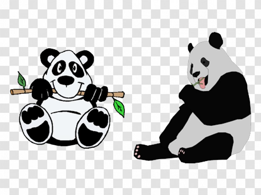 Giant Panda Bear Drawing Cartoon Image Transparent PNG