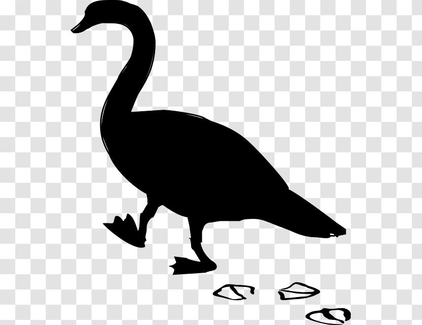 Duck Goose Clip Art Fowl Fauna - Dinosaur - Bird Transparent PNG