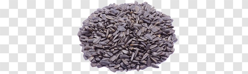 Common Sunflower Seed - Food - Oil Transparent PNG