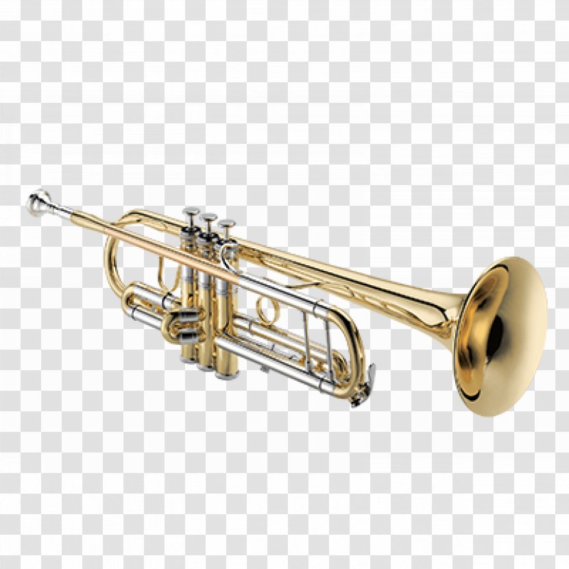 Trumpet Brass Instruments Musical Bore - Flower - Hold The Transparent PNG