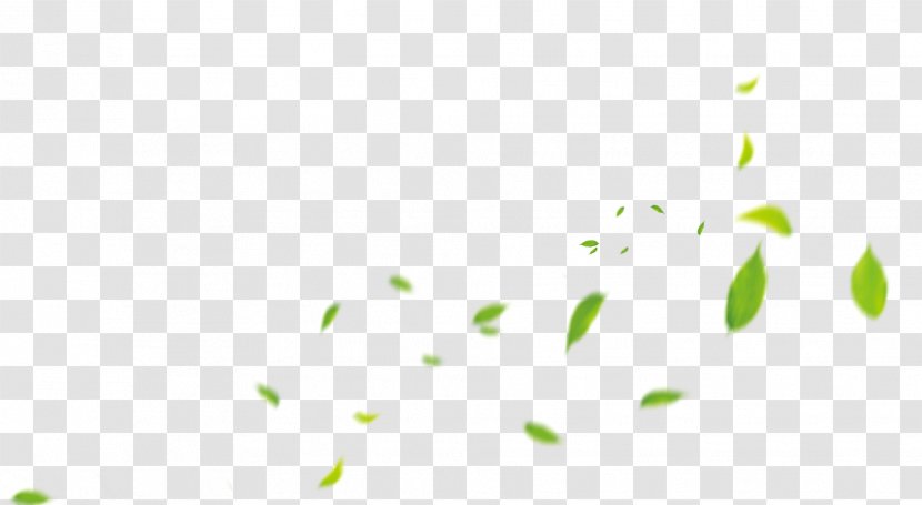 Leaf Desktop Wallpaper - Flora - Floating Transparent PNG