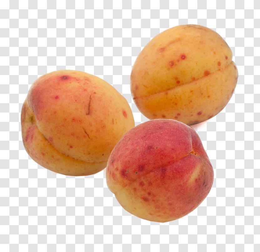 Organic Food Apricot Fruit Peach - Eating - Ripe Transparent PNG