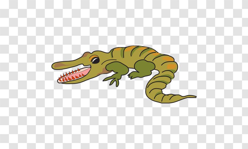 Crocodile Alligator Caiman (Genus) Drawing Clip Art Transparent PNG