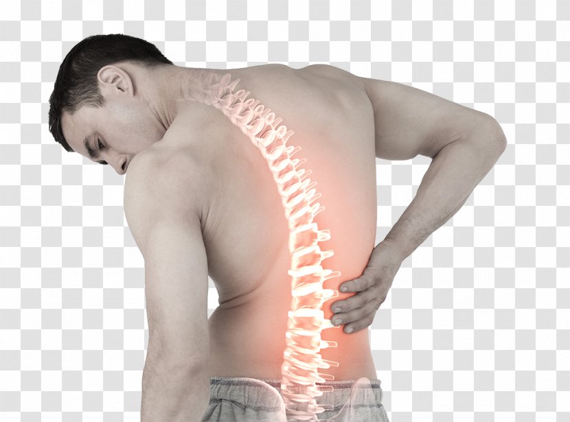 Low Back Pain Ayurveda Sciatica Human - Tree - Health Transparent PNG