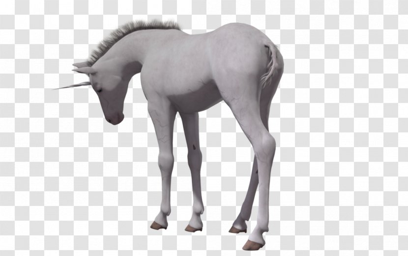 Horse Foal Unicorn - Stallion Transparent PNG