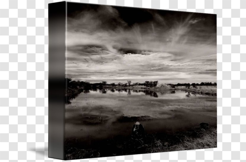 Monochrome Photography Stock Picture Frames - Black And White - Landscape Painting Transparent PNG