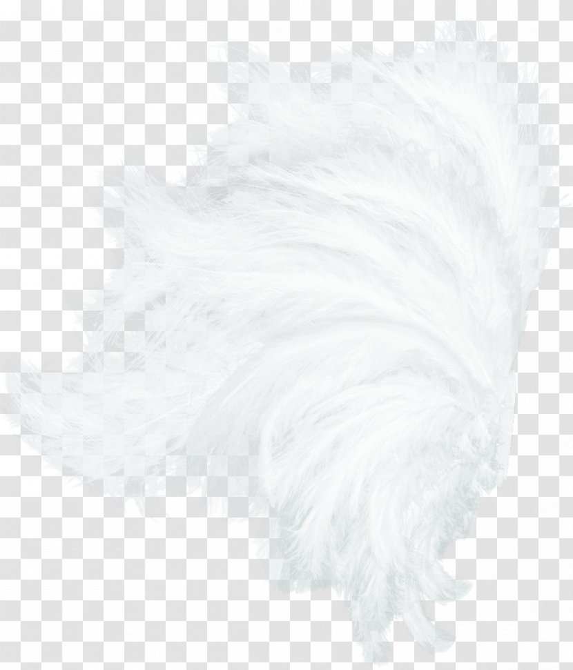 White Feather Black Pattern - Texture - Wings Transparent PNG