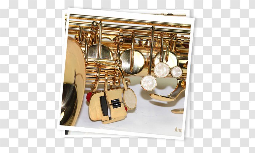 Tuba Trumpet Mellophone Cornet Types Of Trombone - Flower Transparent PNG