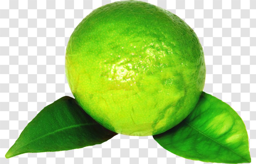 Green Leaf Background - Lemon - Citric Acid Bitter Orange Transparent PNG