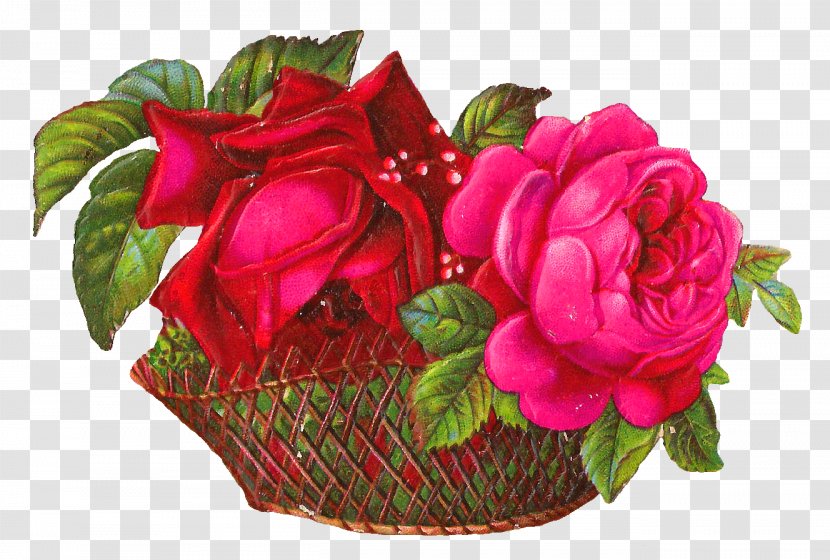 Cut Flowers Garden Roses Flower Bouquet Floral Design - Rose Family - Basket Transparent PNG