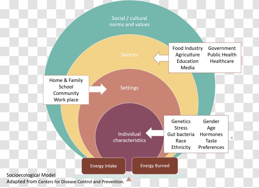 Health Social Ecological Model Food Diet Graphic Design Transparent PNG