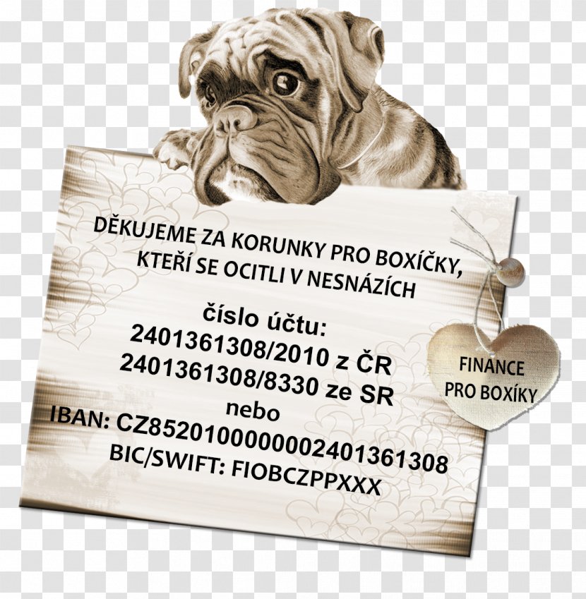 Bulldog Pug Puppy Dog Breed Non-sporting Group - Snout Transparent PNG