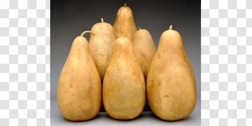 Gourd Winter Squash Cucurbita Food Price - Banana - Bottle Transparent PNG