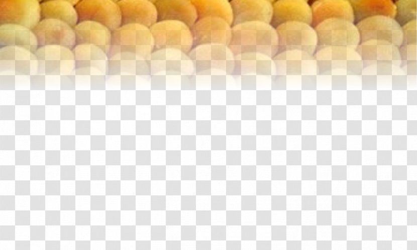 Malatya Dried Apricot Cooking Kernel - Tea - Apricots Transparent PNG