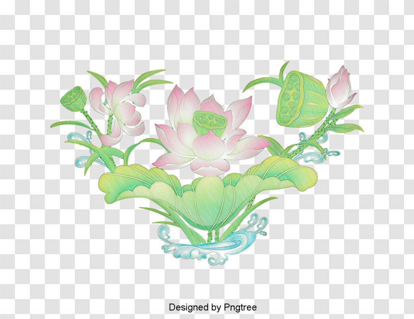 Floral Design Cartoon Image Sacred Lotus - Flowering Plant Transparent PNG