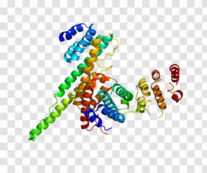 Nucleoporin 107 Nuclear Pore Protein 214 - Cartoon - Frame Transparent PNG