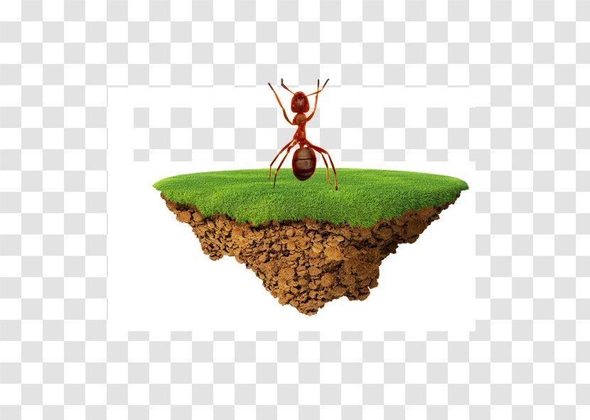 American Football Field Goal Rugby Pitch - Sport - Ants Earth Transparent PNG